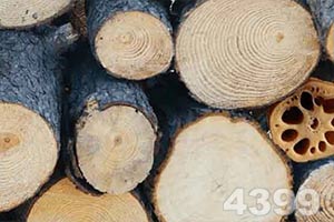 买球的app排行榜前十名推荐手机app下载