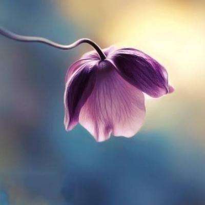 乐乐捕鱼官方网站