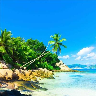 金博宝官网app下载