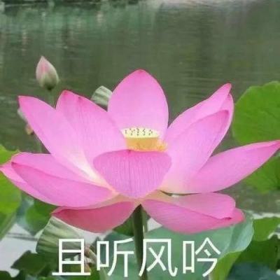 亚新综合平台·官方网站