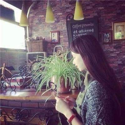 hth·华体育APP下载手机版